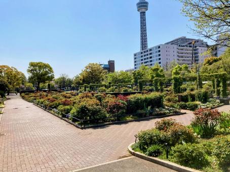 山下公園 山下公園 海,景色,ヨコハマの写真素材