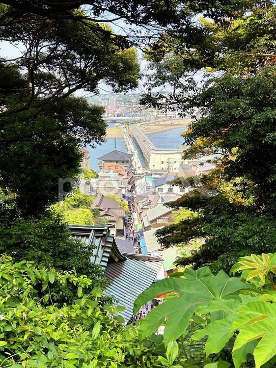 高い場所から眺めた江の島の街の写真素材 街並み,江の島,自然の写真素材