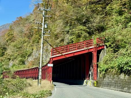 秋の山奥の道路　福井県大野市九頭竜川周辺 スノーシェッド,トンネル,道路の写真素材