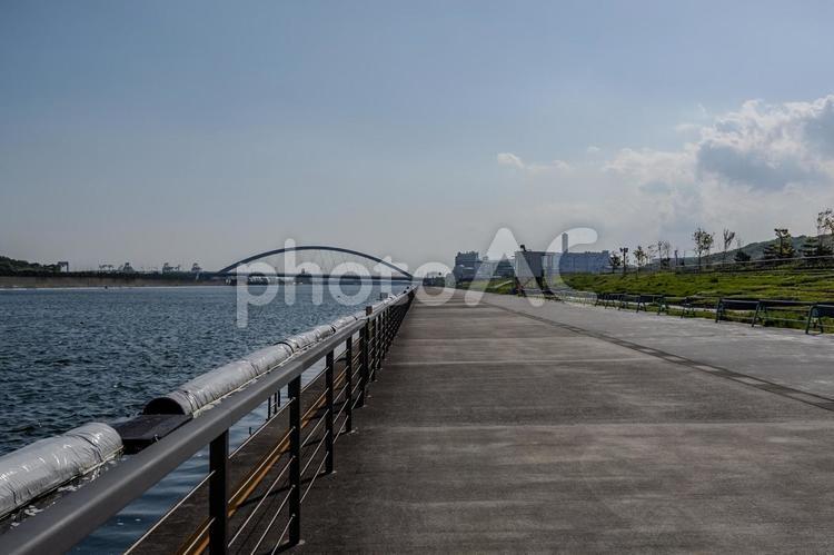 海の森水上競技場周辺の景色 海の森水上競技場,東京湾,橋の写真素材
