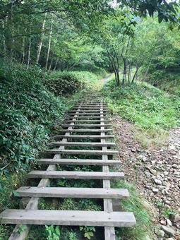 Photo, stage, climbing road, climbing, 