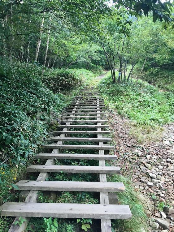 階段の登山道 階段,登山道,登りの写真素材
