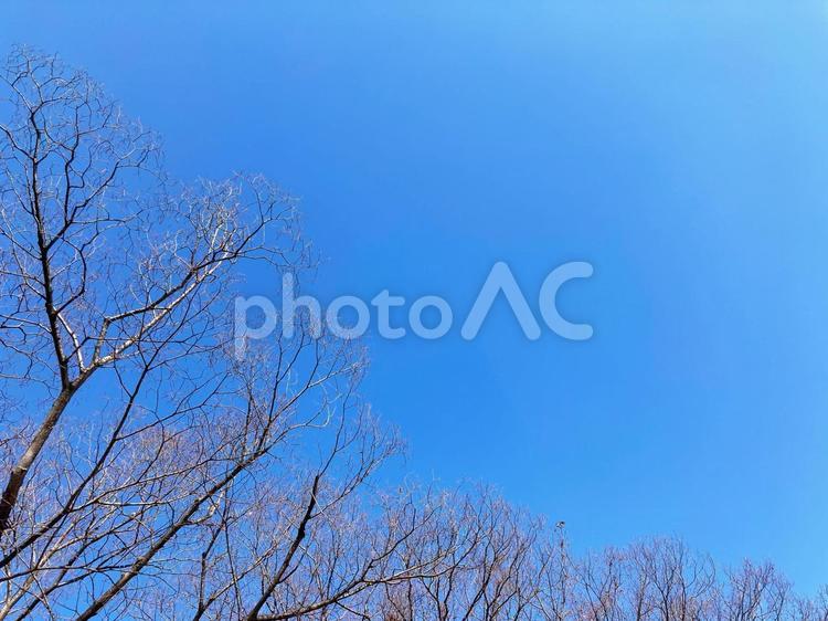 冬の青空の背景素材 背景,バックグラウンド,空の写真素材