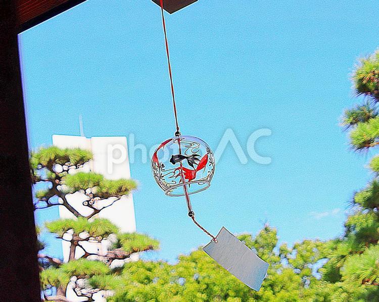 軒先の風鈴 風景,風鈴,絵付けの写真素材