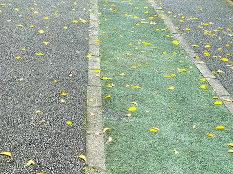 落ち葉のある道 落ち葉のある道の写真
