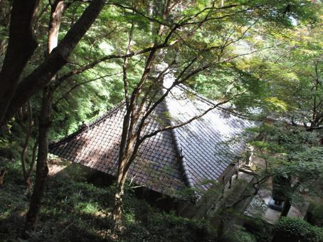 徳島県-箸蔵寺-薬師堂 徳島県-箸蔵寺-薬師堂の写真