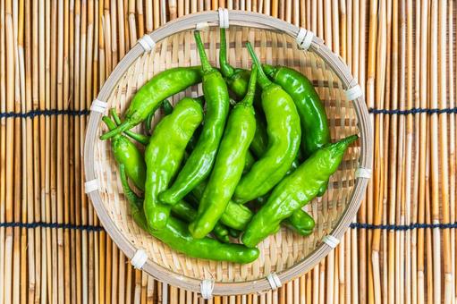 Fresh shishito peppers in a bamboo basket, JPG