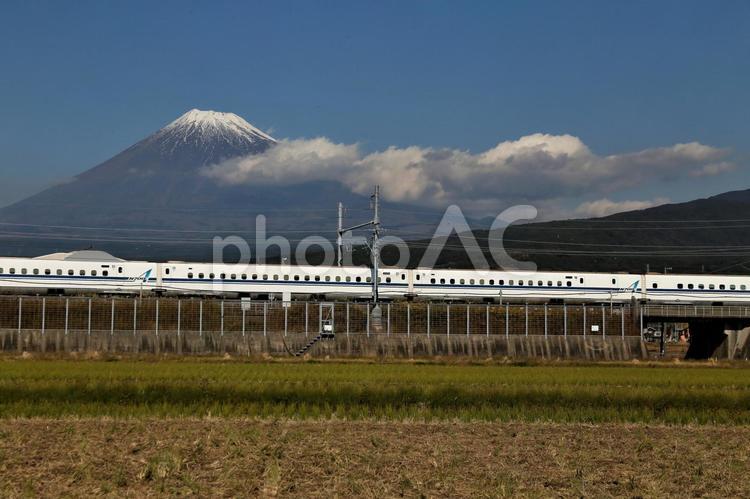 富士山　新幹線　田園風景 富士山,田,田圃の写真素材