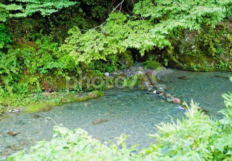 緑に囲まれた蛇喰渓谷の沢 川,清流,渓谷の写真素材