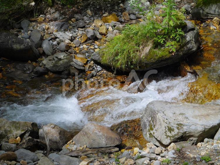 清流の沢・尾瀬 水,清い水,沢の写真素材