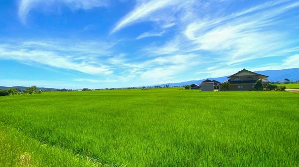 夏の田園風景(富山・南砺市):2 夏の田園風景(富山・南砺市):2の写真