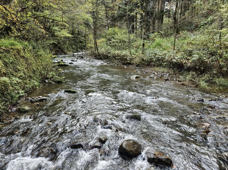 Mountain stream and green forest scenery, JPG Mountain stream and green forest scenery, JPG