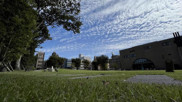 公園と青空の写真