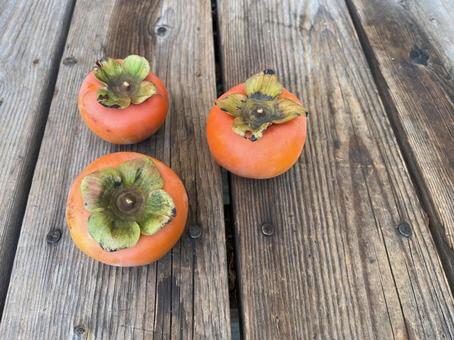 柿（3個） 柿,フルーツ,収穫の写真素材