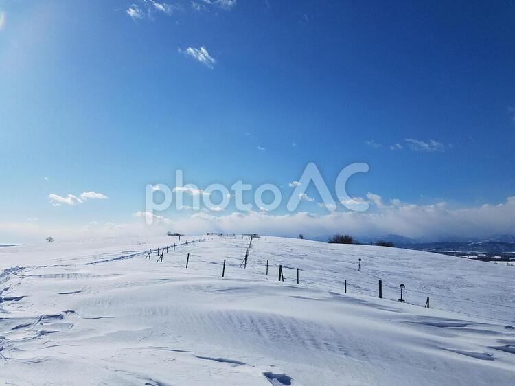 北海道　冬の牧場 牧場,冬,北海道の写真素材