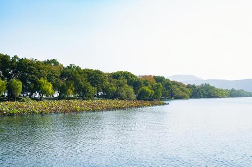 杭州・西湖 蘇堤 西湖,蘇堤,杭州の写真素材