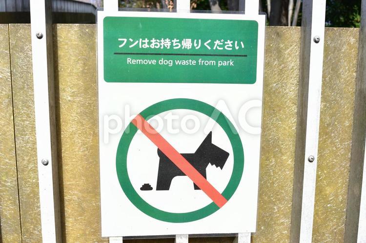 犬のフン放置禁止の看板 犬,フン,糞の写真素材