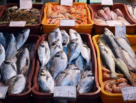 魚市場 魚市場の写真