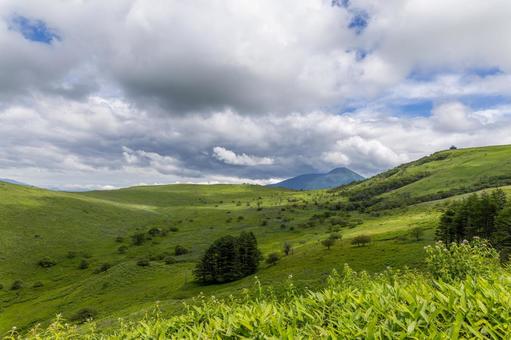 初夏の霧ヶ峰 車山高原 03 初夏の霧ヶ峰 車山高原 03の写真