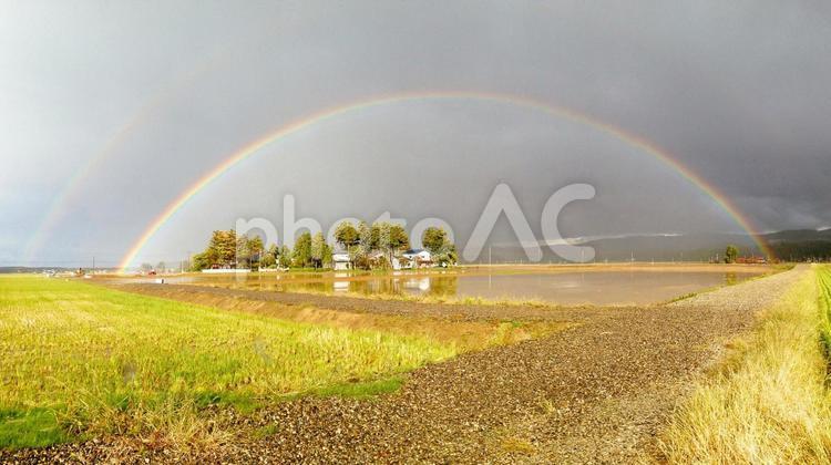 雨上がりの虹 10月,新潟県,田の写真素材