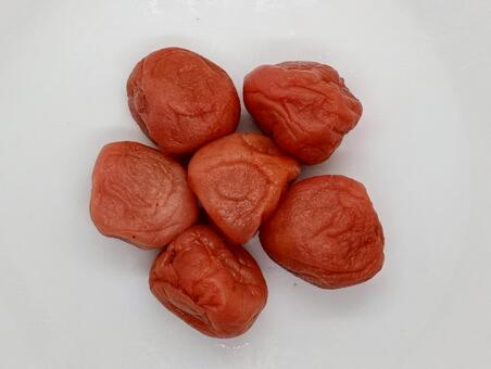 梅干し 梅干し,うめぼし,ウメボシの写真素材