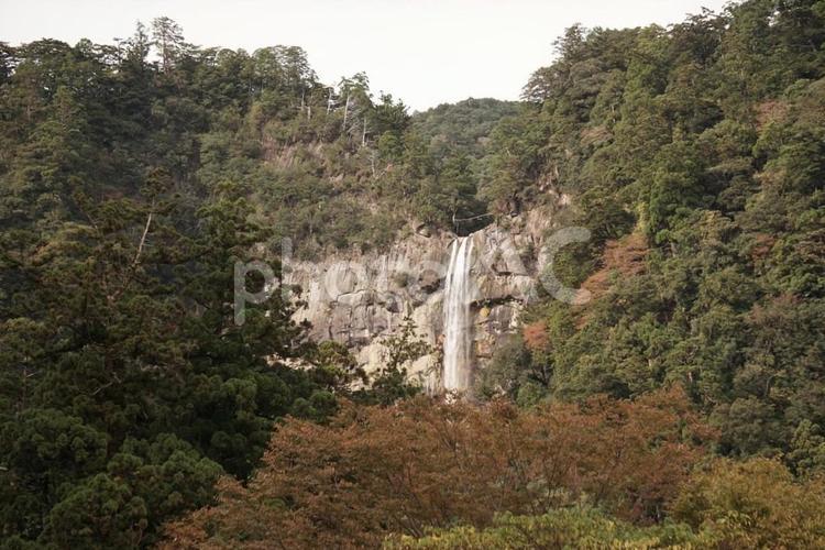 山中に佇む滝の風景 滝,山,森林の写真素材