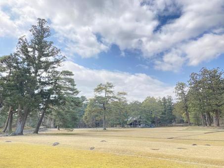 毛越寺庭園 毛越寺,特別史跡,特別名勝の写真素材