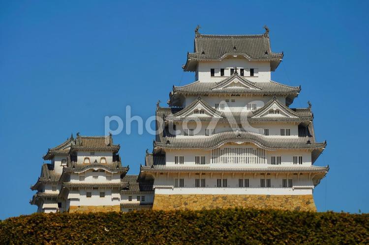 快晴の中の美しい日本の名城国宝姫路城 姫路城,白鷺城,名城の写真素材