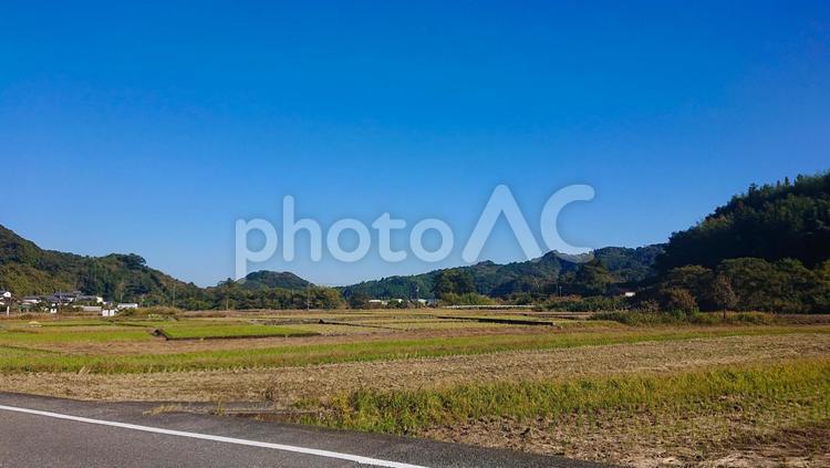 稲の無い田んぼの風景 田んぼ,畑,田畑の写真素材