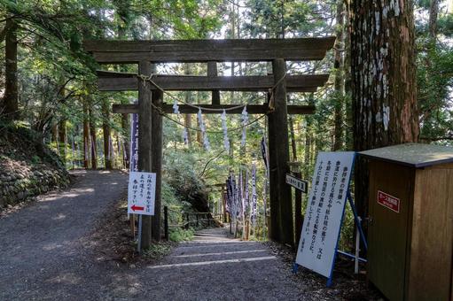 奈良 玉置神社 参道と鳥居 奈良 玉置神社 参道と鳥居 玉置神社,鳥居,参道の写真素材