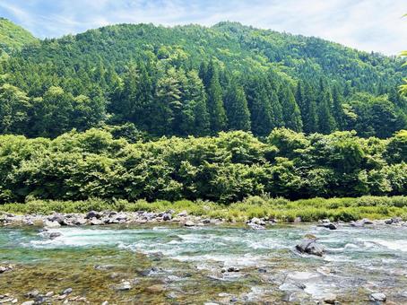 日を浴びる山の木々と穏やかな渓流の風景 山,木々,木の写真素材