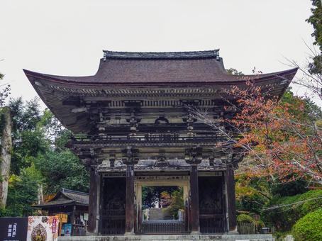 【滋賀県】大津市・三井寺 三井寺,仁王門,大門の写真素材
