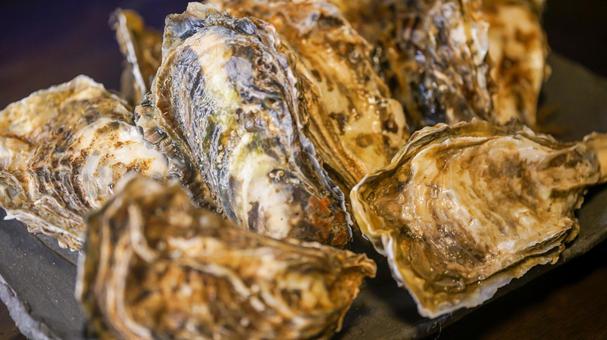 生牡蠣（食品.魚貝類） 生牡蠣,牡蠣,北海道の写真素材