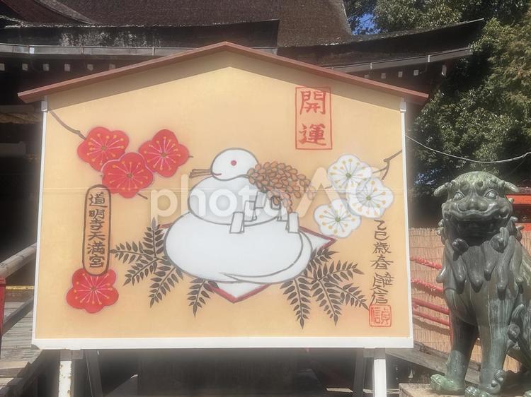 道明寺天満宮巨大絵馬 道明寺,天満宮,絵馬の写真素材