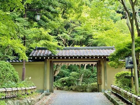 大磯城山公園南門 大磯城山公園南門 大磯,城山公園,南門の写真素材