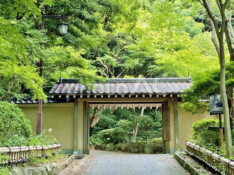大磯城山公園南門 大磯,城山公園,南門の写真素材