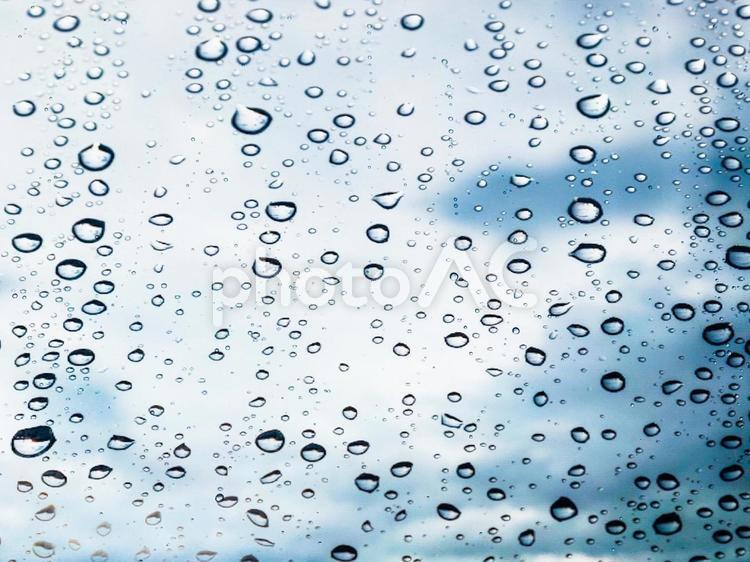 雨のしずく 雨,雫,しずくの写真素材