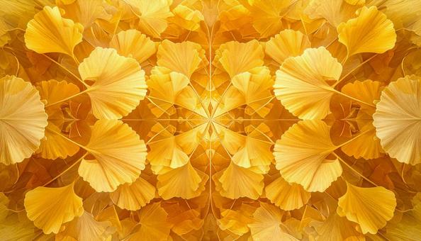 光に輝くイチョウの曼荼羅の写真