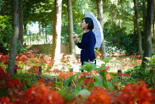 40:彼岸花を静かに眺める女性 40:彼岸花を静かに眺める女性 彼岸花,ミステリアス,悲しげの写真素材