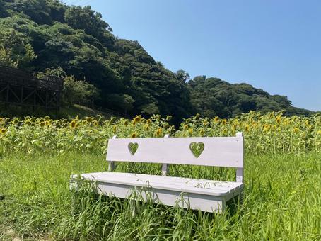ハートのベンチ ハートのベンチ ベンチ,休憩,自然の写真素材