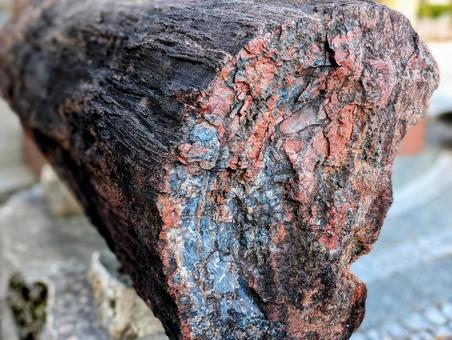 Photo, guihua wood, keikaboku, fossil wood, 