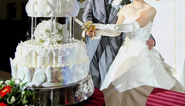 結婚式のケーキ入刀 結婚式のケーキ入刀 結婚式,女性,男性の写真素材