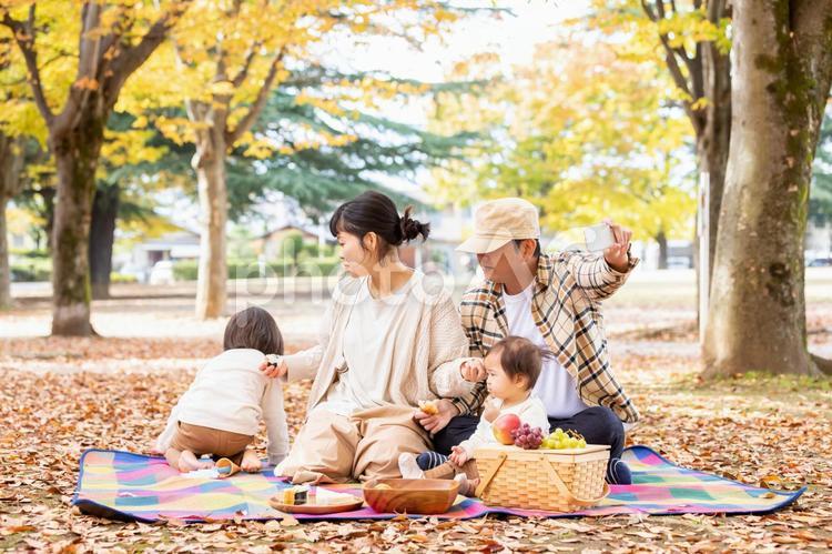 秋の公園で遊ぶ家族・ファミリー（自撮り） ピクニック,行楽,写真の写真素材