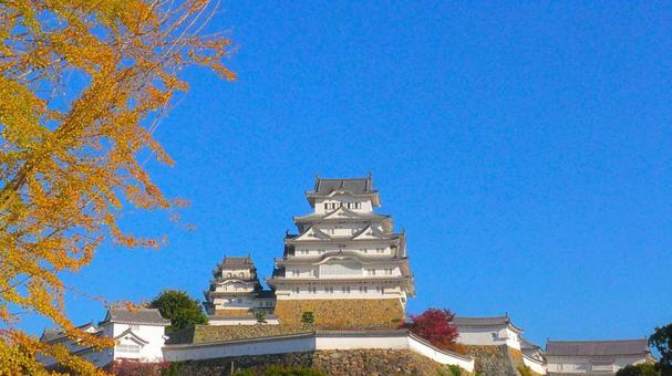 姫路城3 姫路城,白鷺城,石垣の写真素材