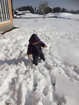 一面雪の中を歩く子供 子供,幼児,未就学児の写真素材