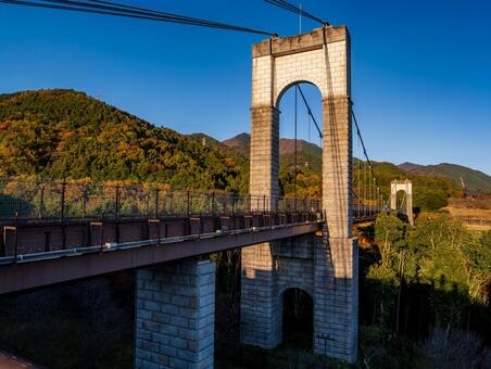 晩秋の秦野戸川公園の風の吊り橋 丹沢,晩秋,大倉の写真素材