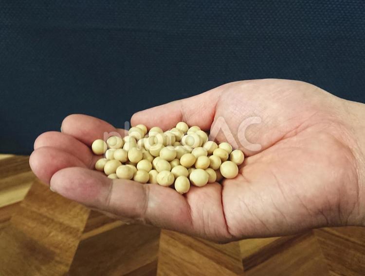 乾燥大豆を持った手 大豆,豆,穀物の写真素材