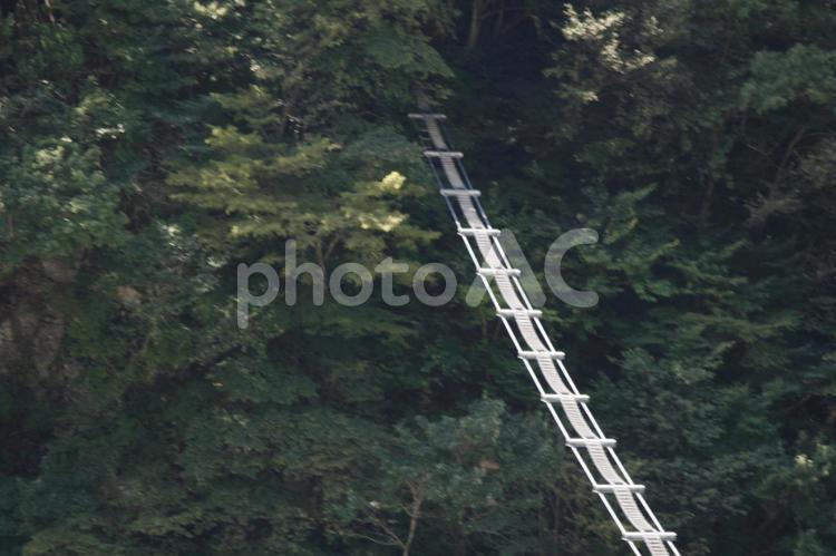 黒部　猿専用の橋 黒部峡谷,吊り橋,渓谷の写真素材