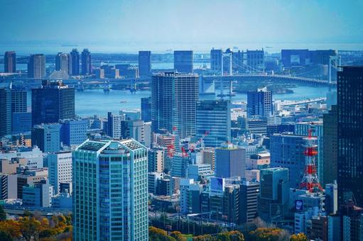 東京・港区の都市風景 東京・港区の都市風景 東京,港区,高層ビルの写真素材