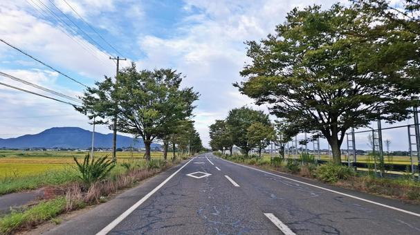 見通しの良い直線 見通しの良い直線 見通しの良い直線,ストレート,直線の写真素材